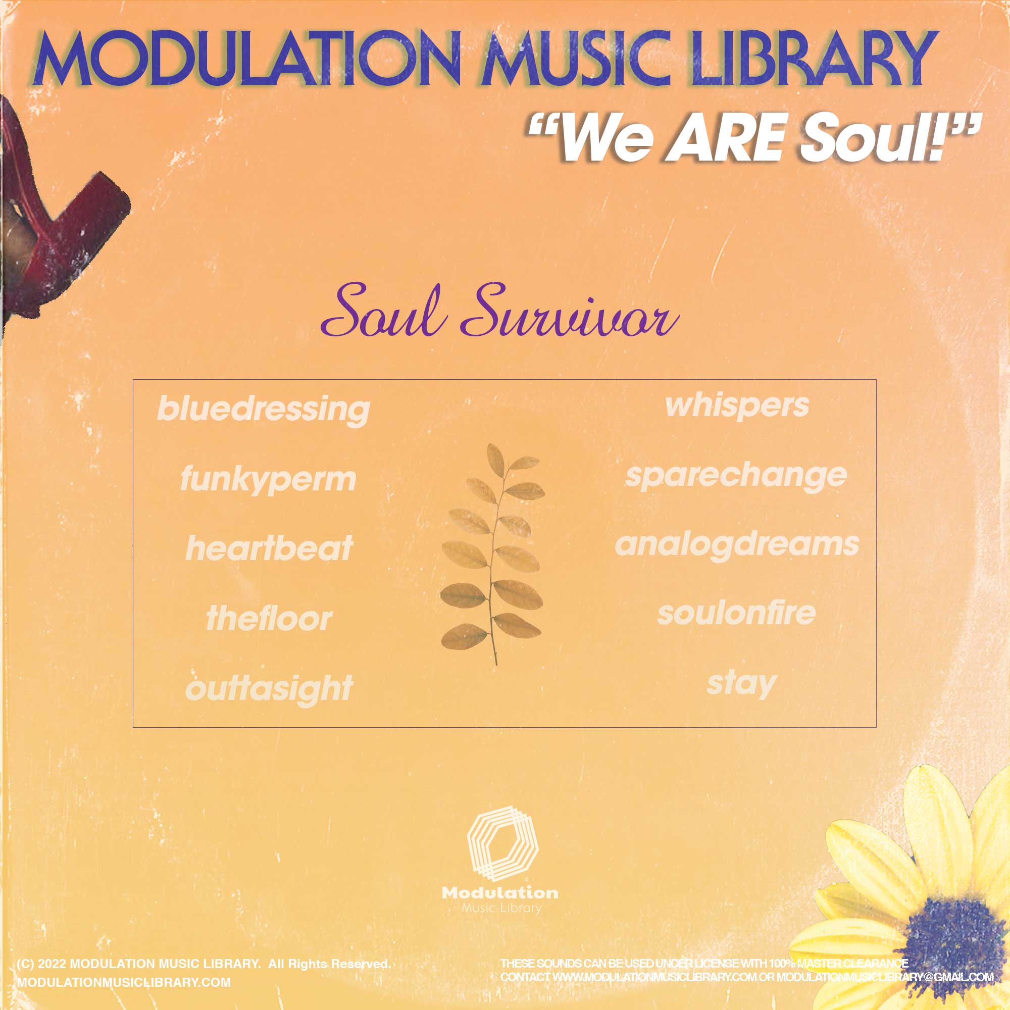 Soul Survivor - MOD-3010